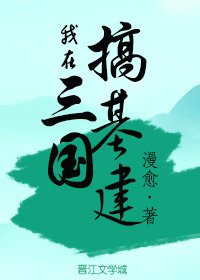 我在三國搞基建