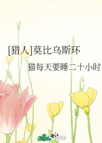 （全職獵人同人）[獵人]莫比烏斯環